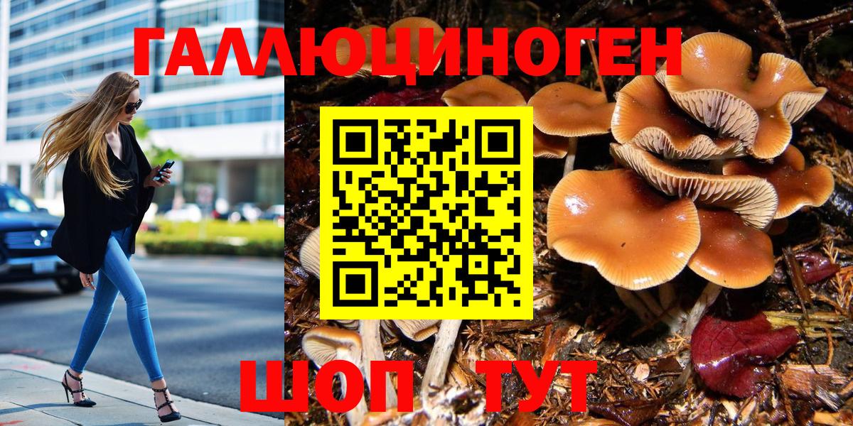 Псилоцибиновые грибы прущие грибы Красногорск